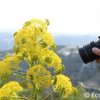 takingphotos at lefkara area_ecophysis excursion